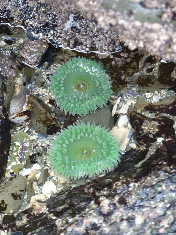 P1180251