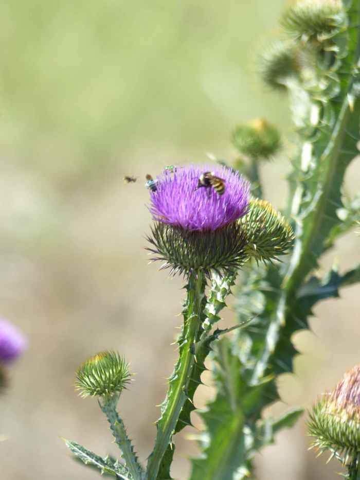P1410091